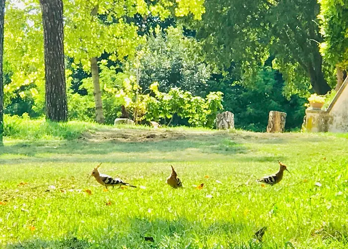 Agriturismo La Montina Ponti sul Mincio